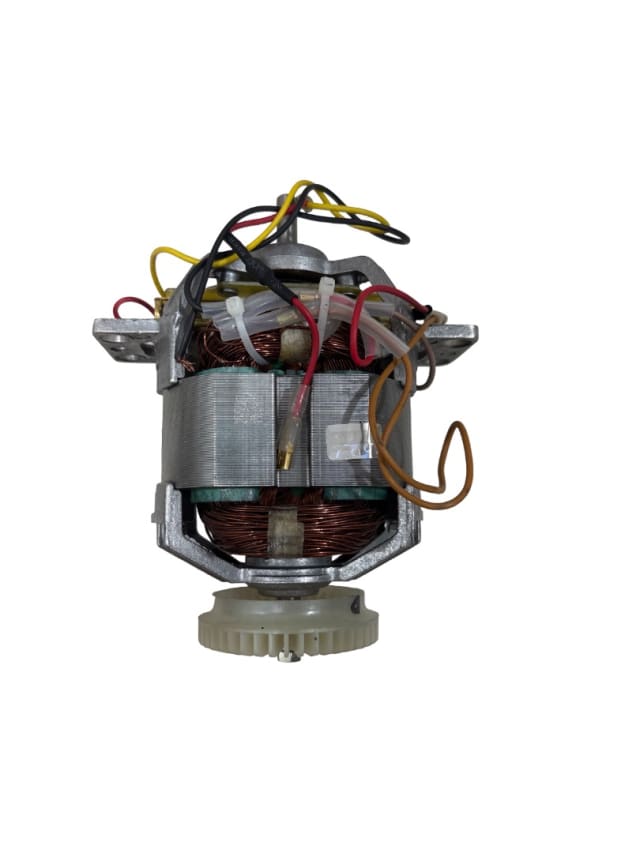 Electric Motor-cinnamon 750W