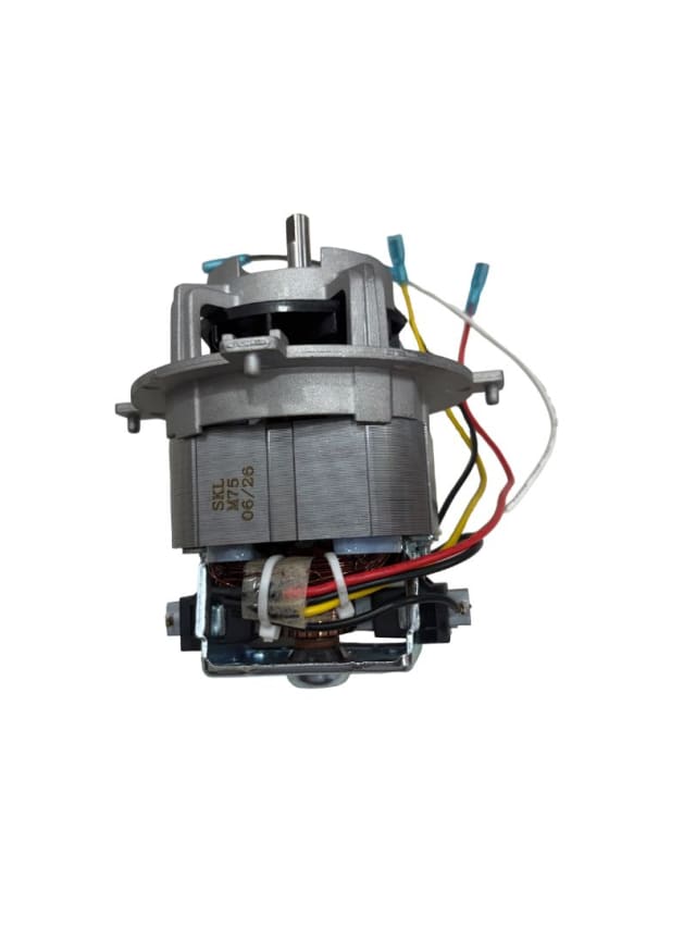 AC Motor 8833 230V 50HZ 750W view 2