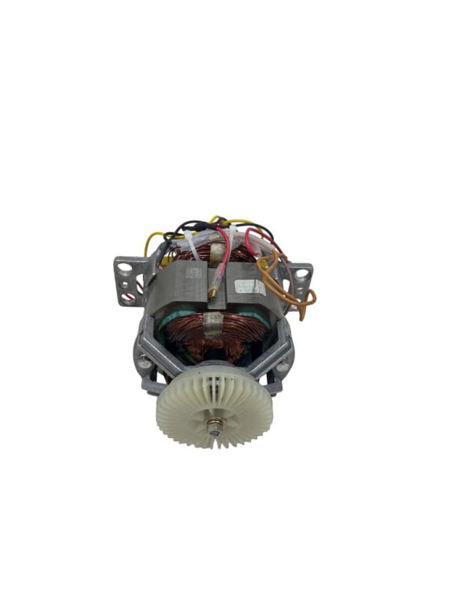 Electric Motor-cinnamon 750W view 2