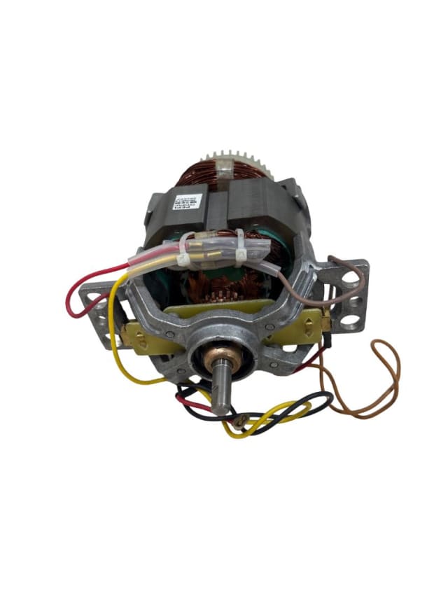 Electric Motor-cinnamon 750W view 3